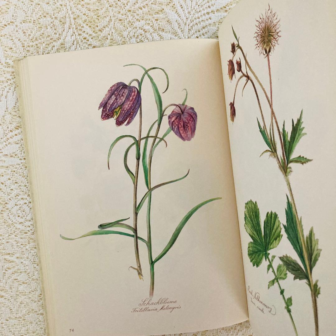 希少なヴィンテージ植物図鑑2巻セット　繊細で美しい植物画300点　洋書・古書