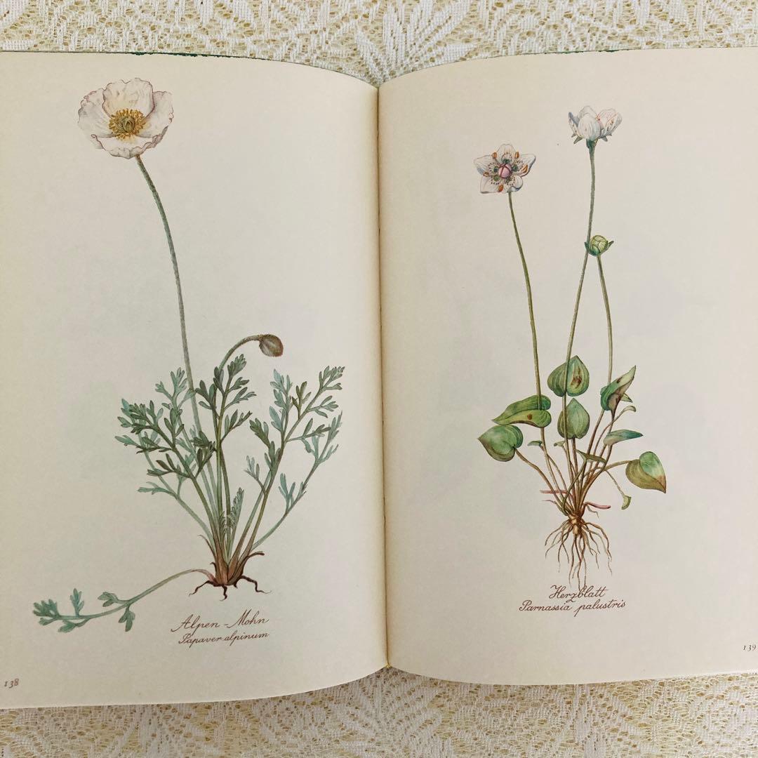 希少なヴィンテージ植物図鑑2巻セット　繊細で美しい植物画300点　洋書・古書