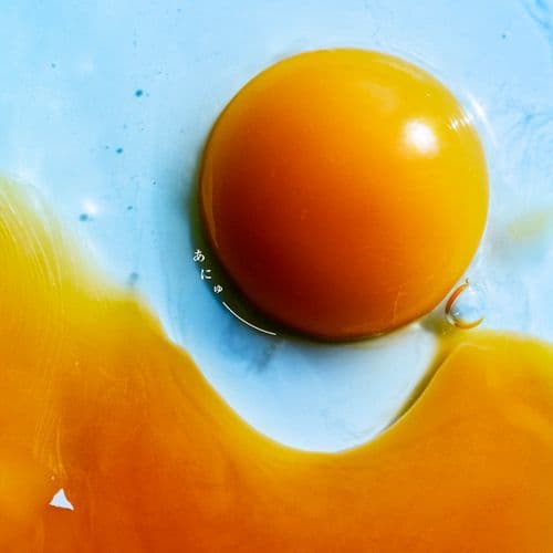 RADWIMPS　あにゅー　CD+Blu-ray+GOODS