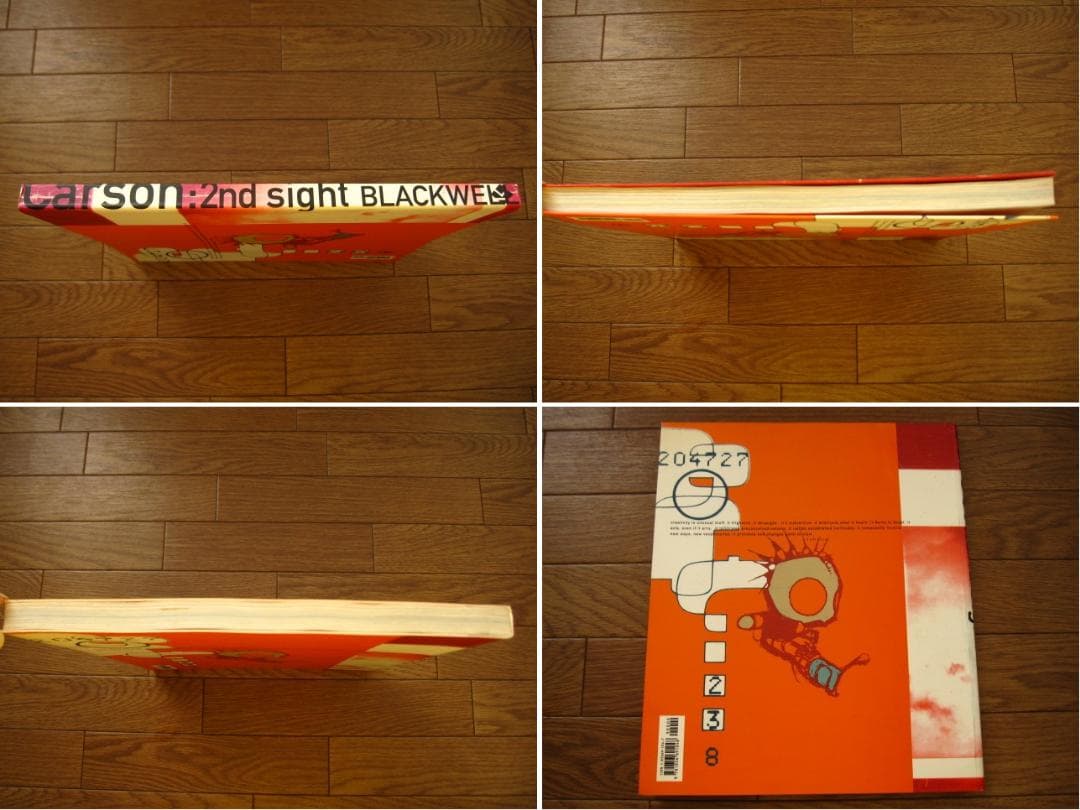 アート・デザイン・音楽 David Carson: 2ndsight: Grafik Design