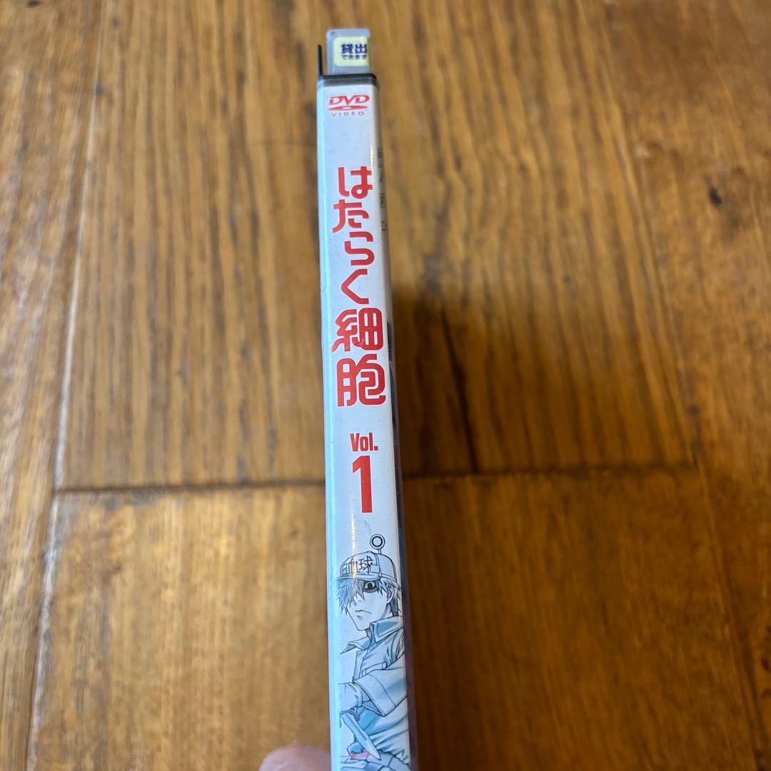 はたらく細胞　DVD 全7巻　特別編付