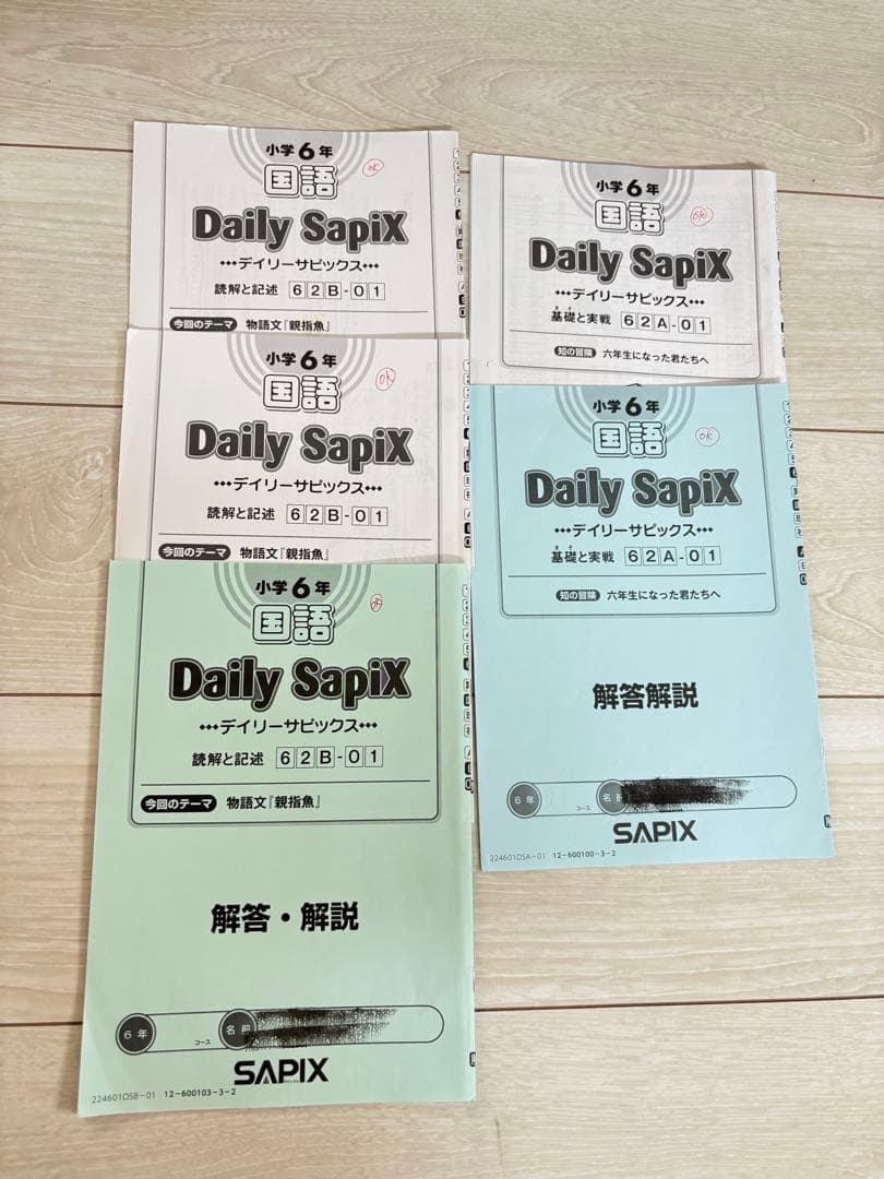 【最新】Sapix 2024年度 6生 国語1年分