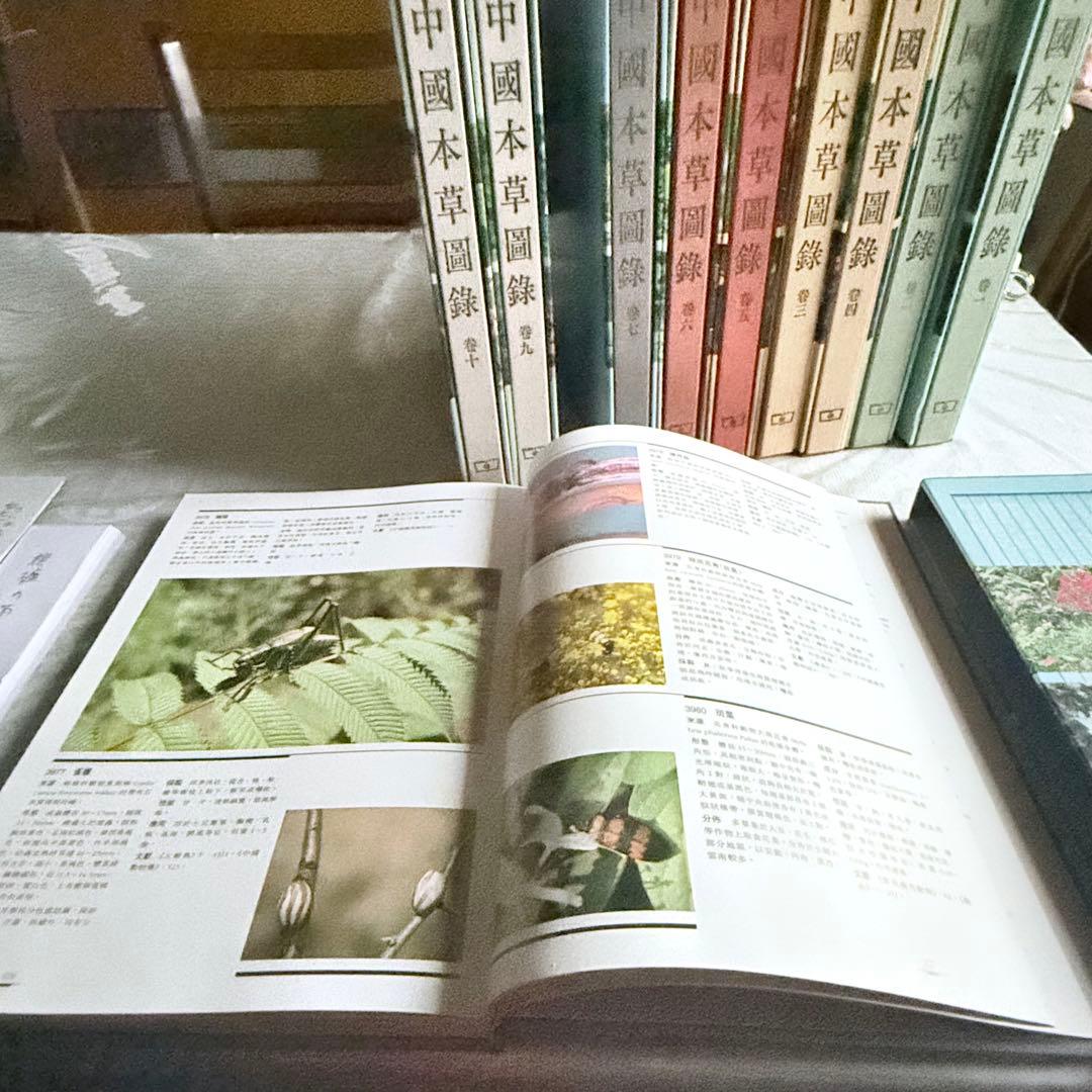 超限定1月13日20時迄‼️漢薬フルカラー『中國本草圖錄』10巻揃￼中国語薬草図鑑