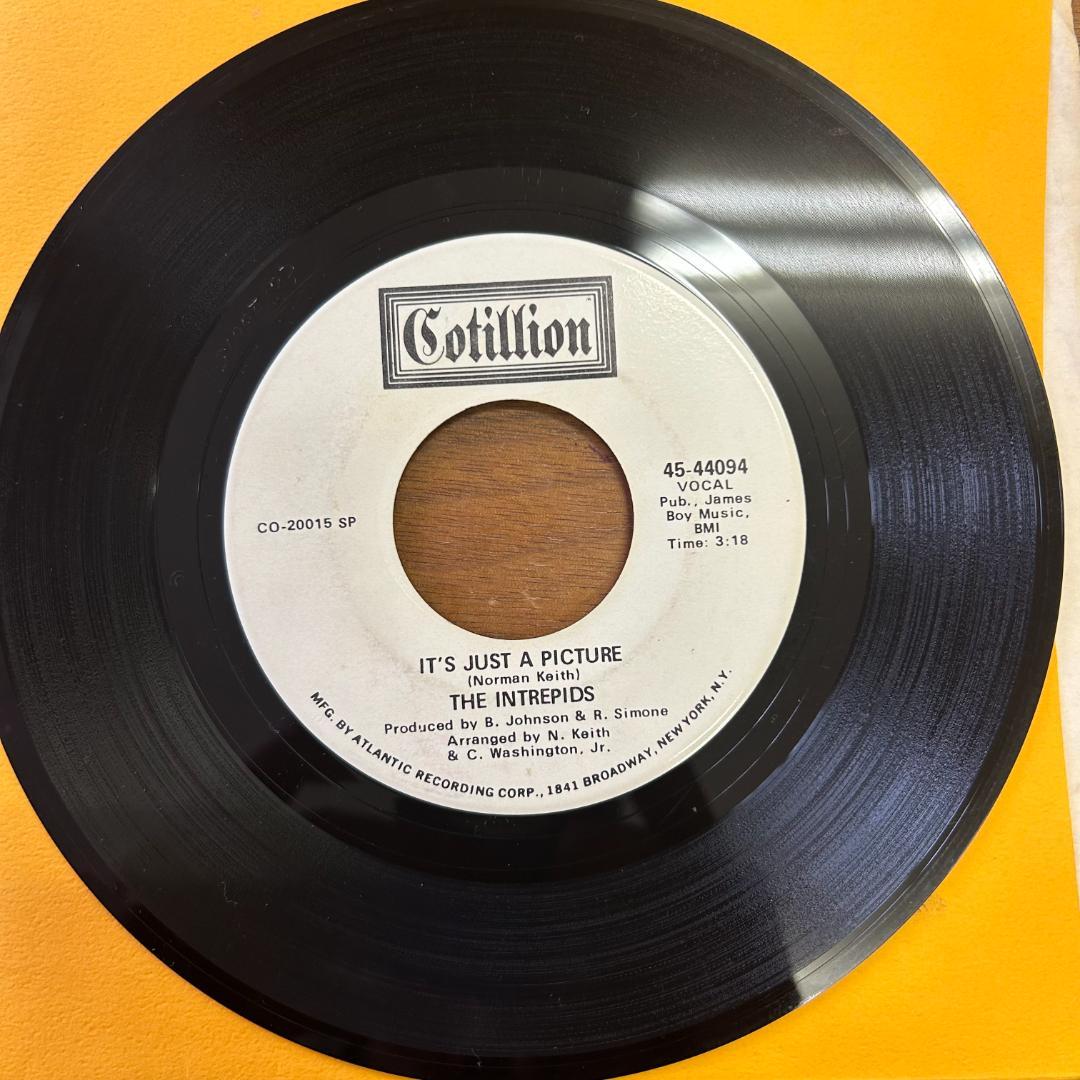 THE INTREPIDS／IT'S JUST A PICTURE