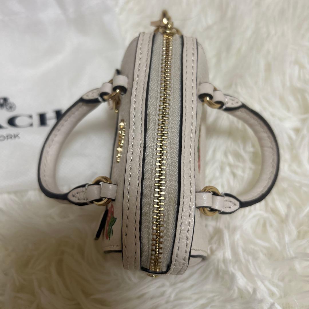 未使用級 コーチ ミニ バッグチャーム 小物入れ ローアン　ストロベリー