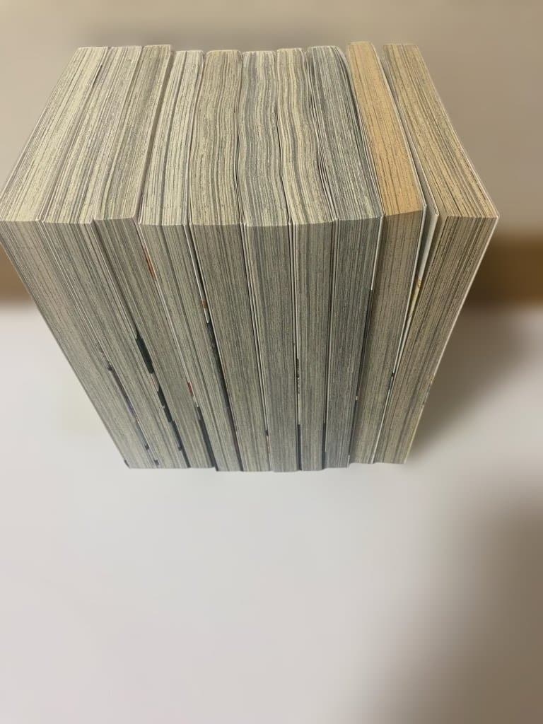 【匿名配送】10DANCE　10冊セット