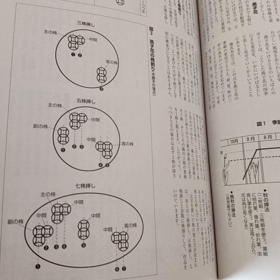 小原流の花 様式から創作まで　2冊セット