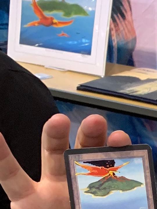 (shopsクーポン配布中)MTG 島 アルファ　サインド