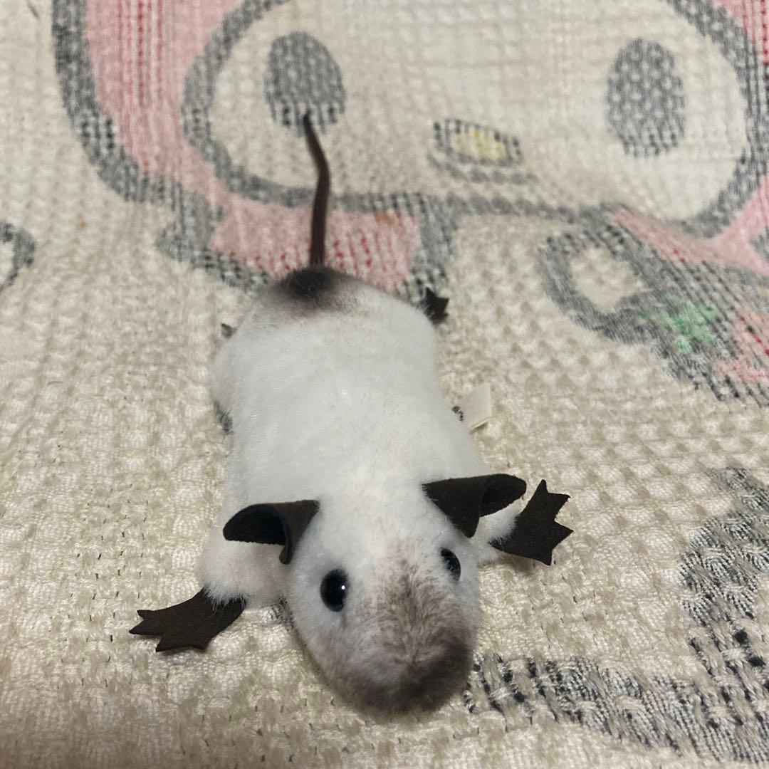 ケーセン Koesen ぬいぐるみ サイアミーズラット　中古品