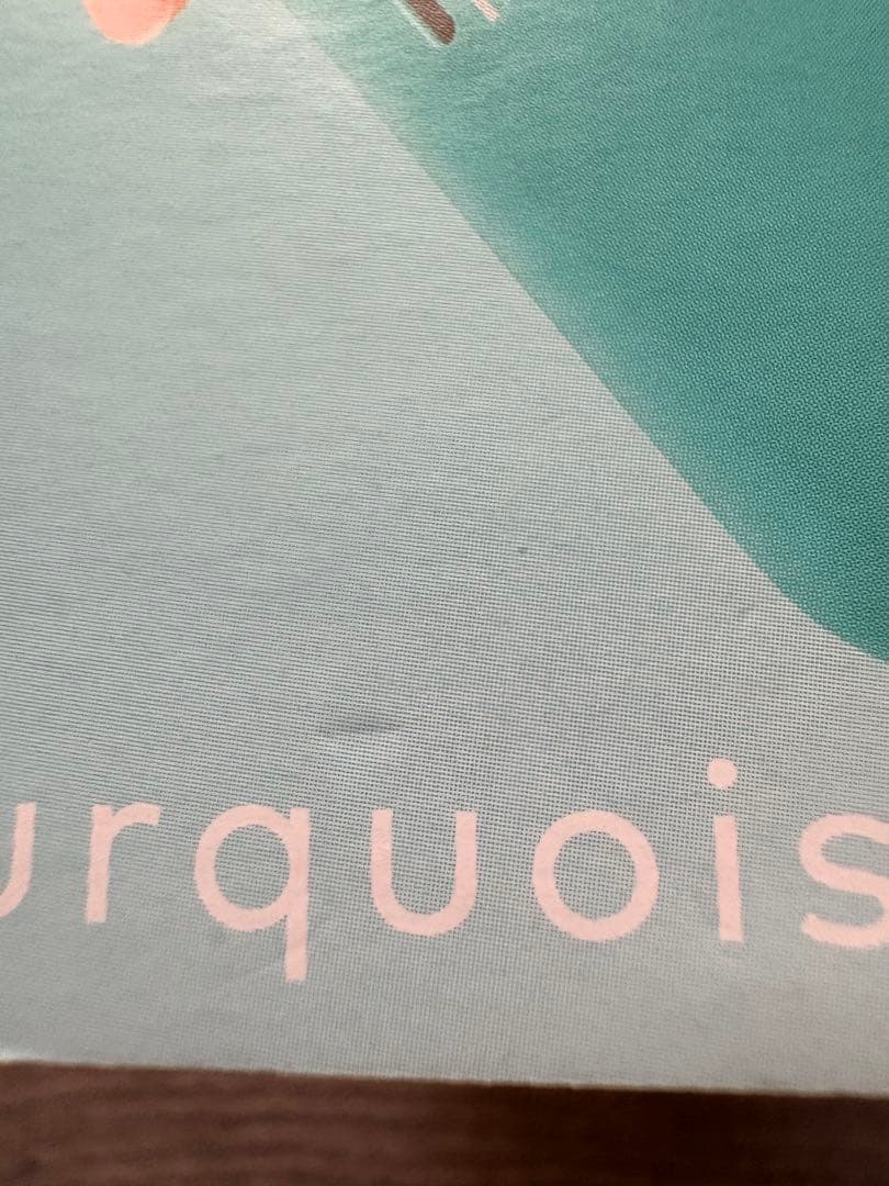 Nintendo 任天堂 Switch Lite スイッチライト ターコイズ