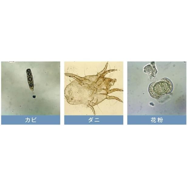 シャアー様【未使用に近い】 空気清浄機 イオニックブリーズGRANDE　G034