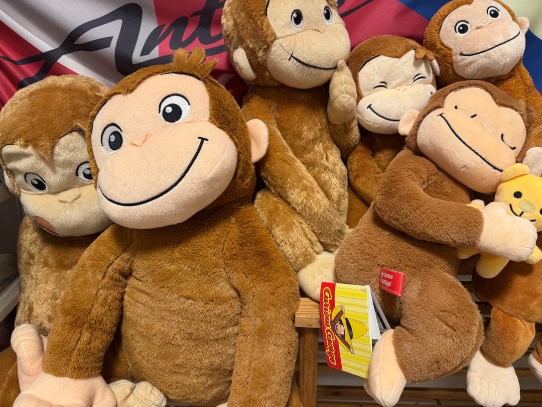 Curious e ぬいぐるみ