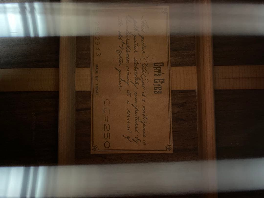 よっし〜 CATS EYES アコースティックギター