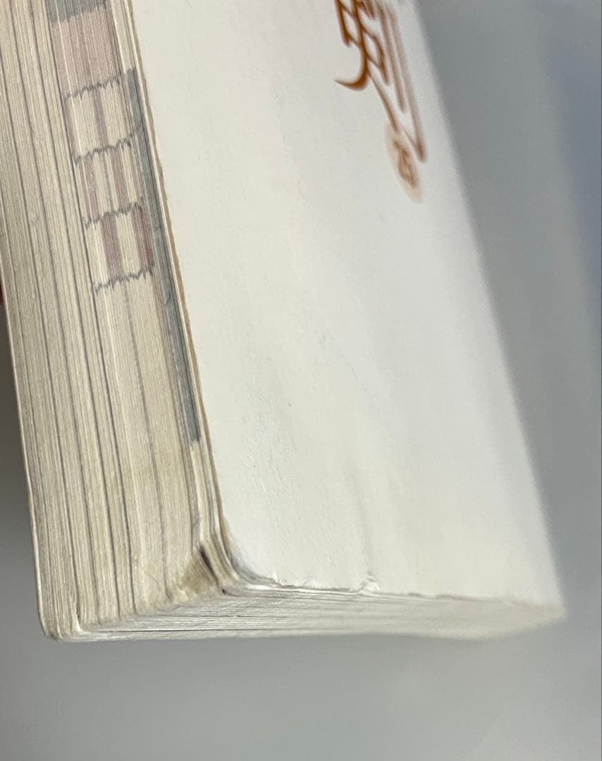 ネスペ　21、22、23、25、26、27、基礎力、29、30 セット