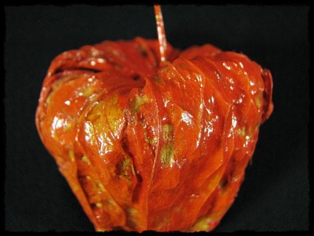 名工 田中 篁秋 鬼灯 ほうづき 宝月 香合 茶道具 e140