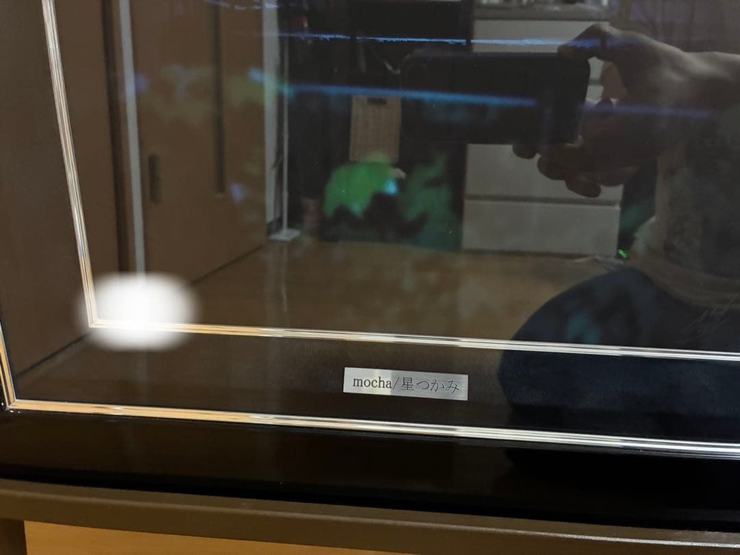 mocha 版画 星つかみ アールビバン