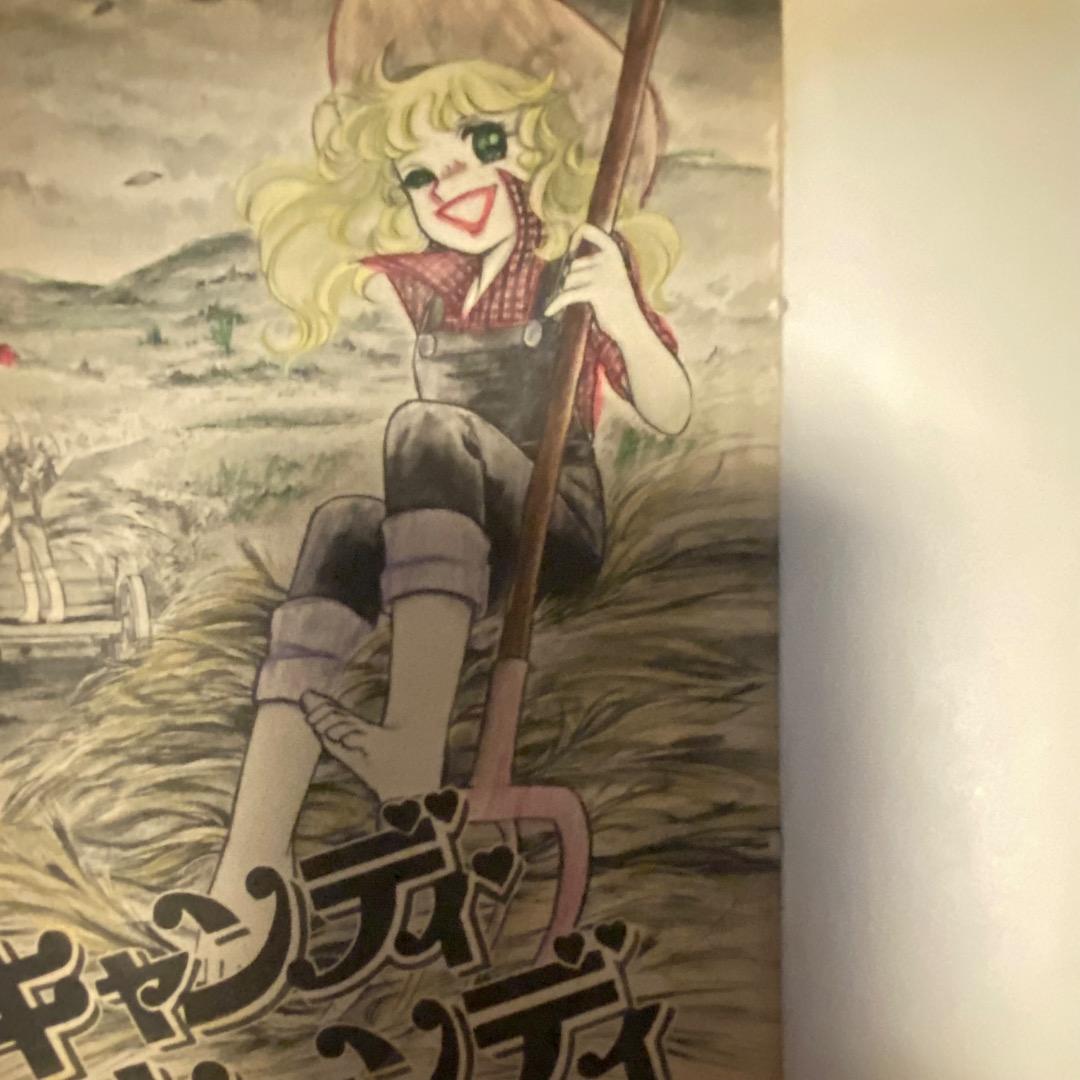 ran【希少初版含む】キャンディキャンディ 全巻セット