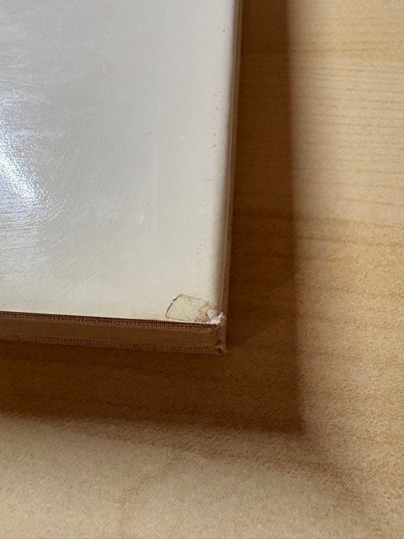 アート・デザイン・音楽 William Eggleston The Democratic Forest