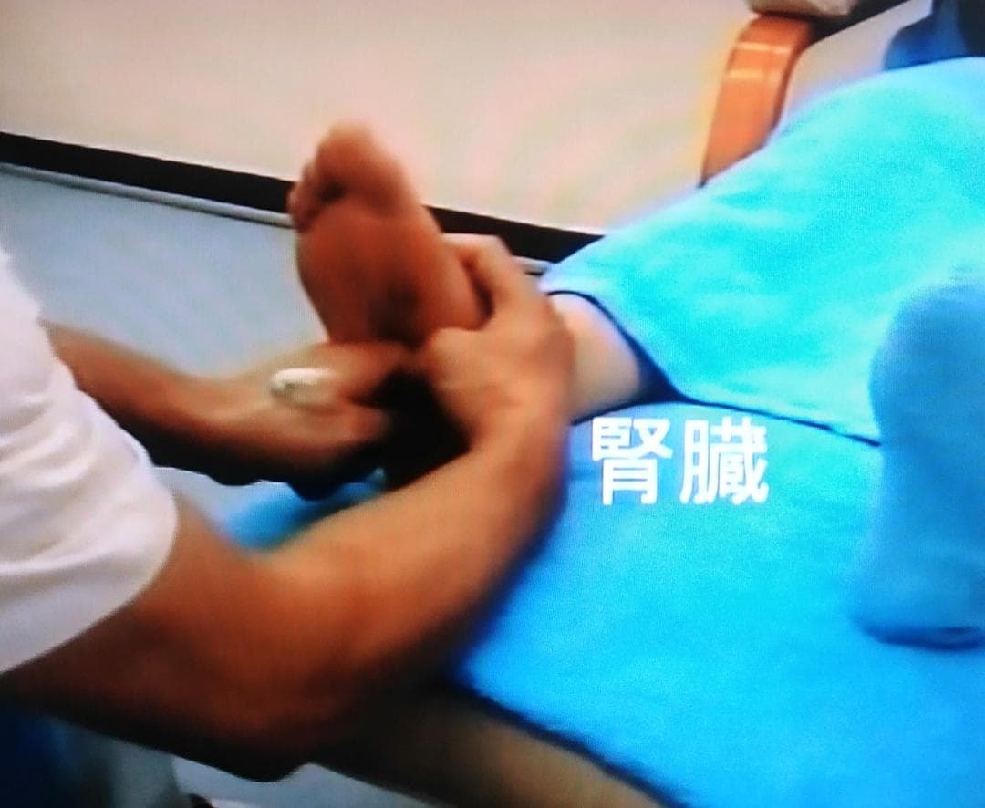 A5：足つぼ 学ぶ（DVD足部反射療法2級上編）+テキスト+チャートset