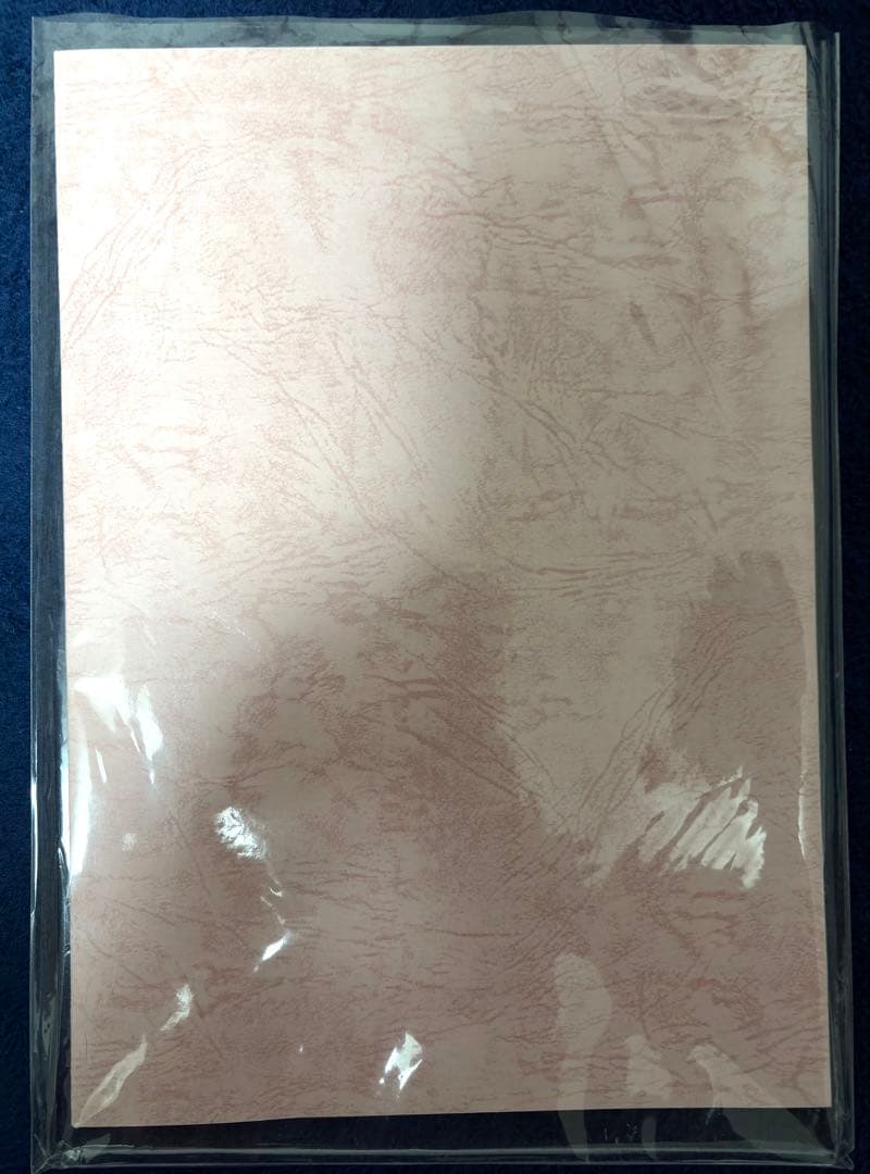 おしえて！ギャル子ちゃん　第1話　サイン入り台本