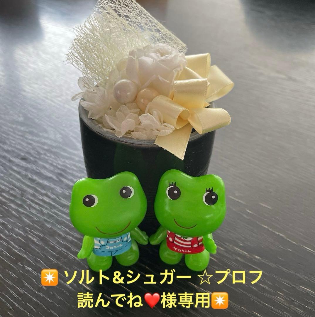 ソルト&シュガー ☆プロフ読んでね❤️✴️