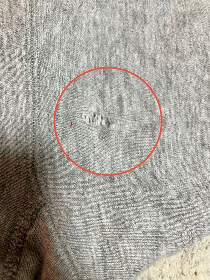 【貴重】champion リバースウィーブ スウェット 単色タグ　カプセル