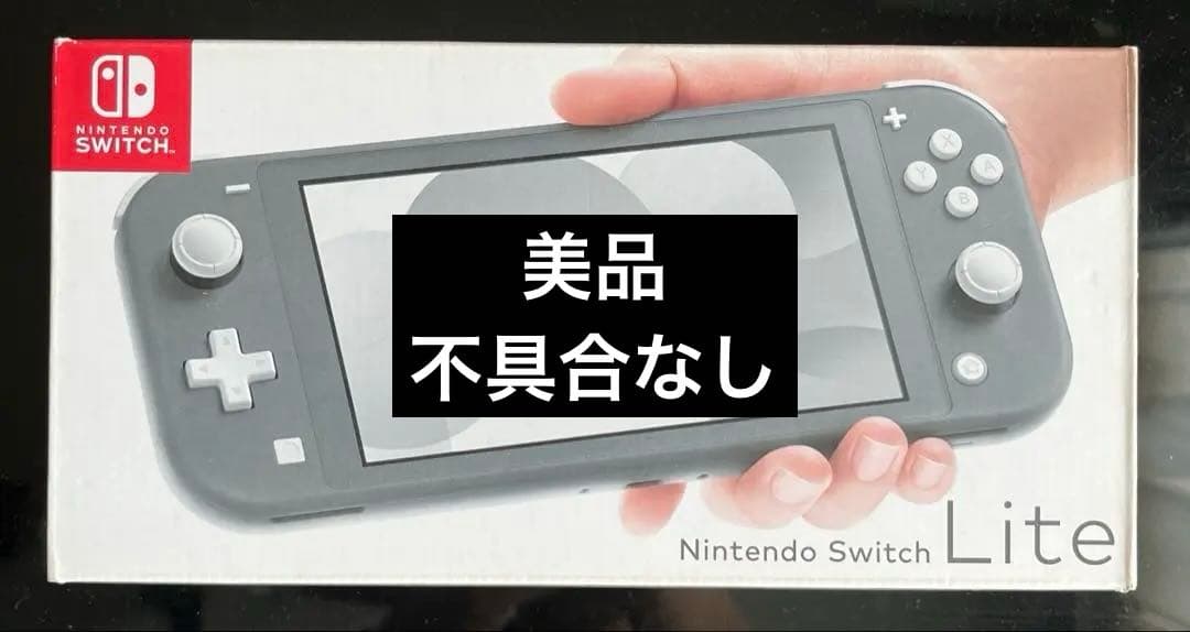 Nintendo Switch/スイッチライト/美品/付属品有