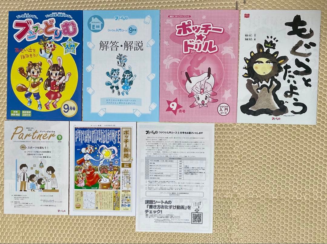 2024年度版 ブンブンどりむ 1年生 ワクワク入門コース1年分