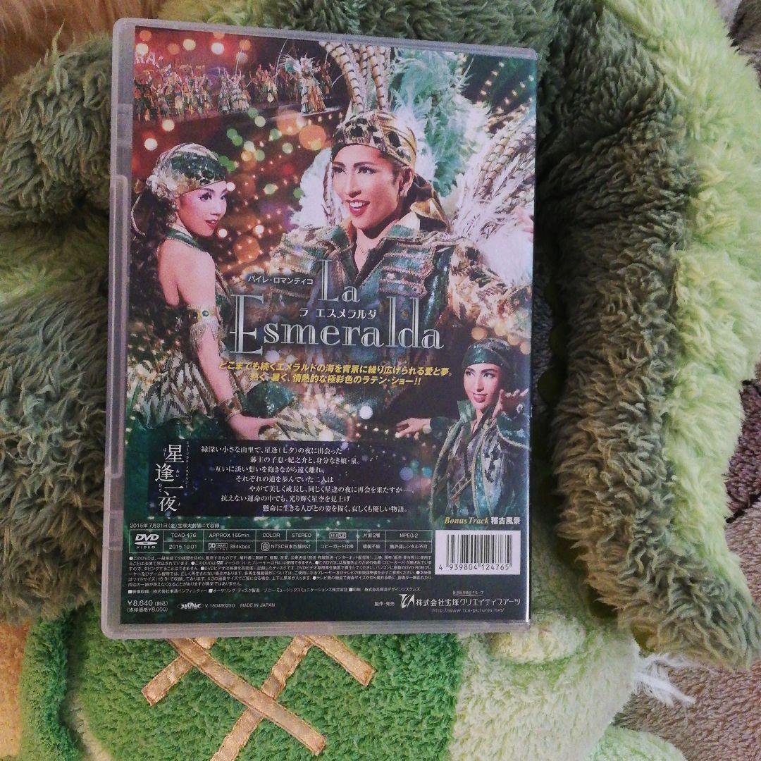 【お値下げ中】雪組 宝塚大劇場公演 星逢一夜/バイレ・ロマンティ…