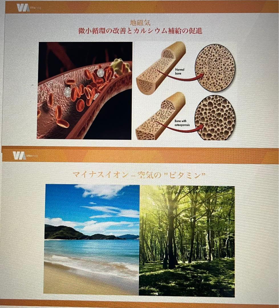 Viiva ポータブル　マットレス