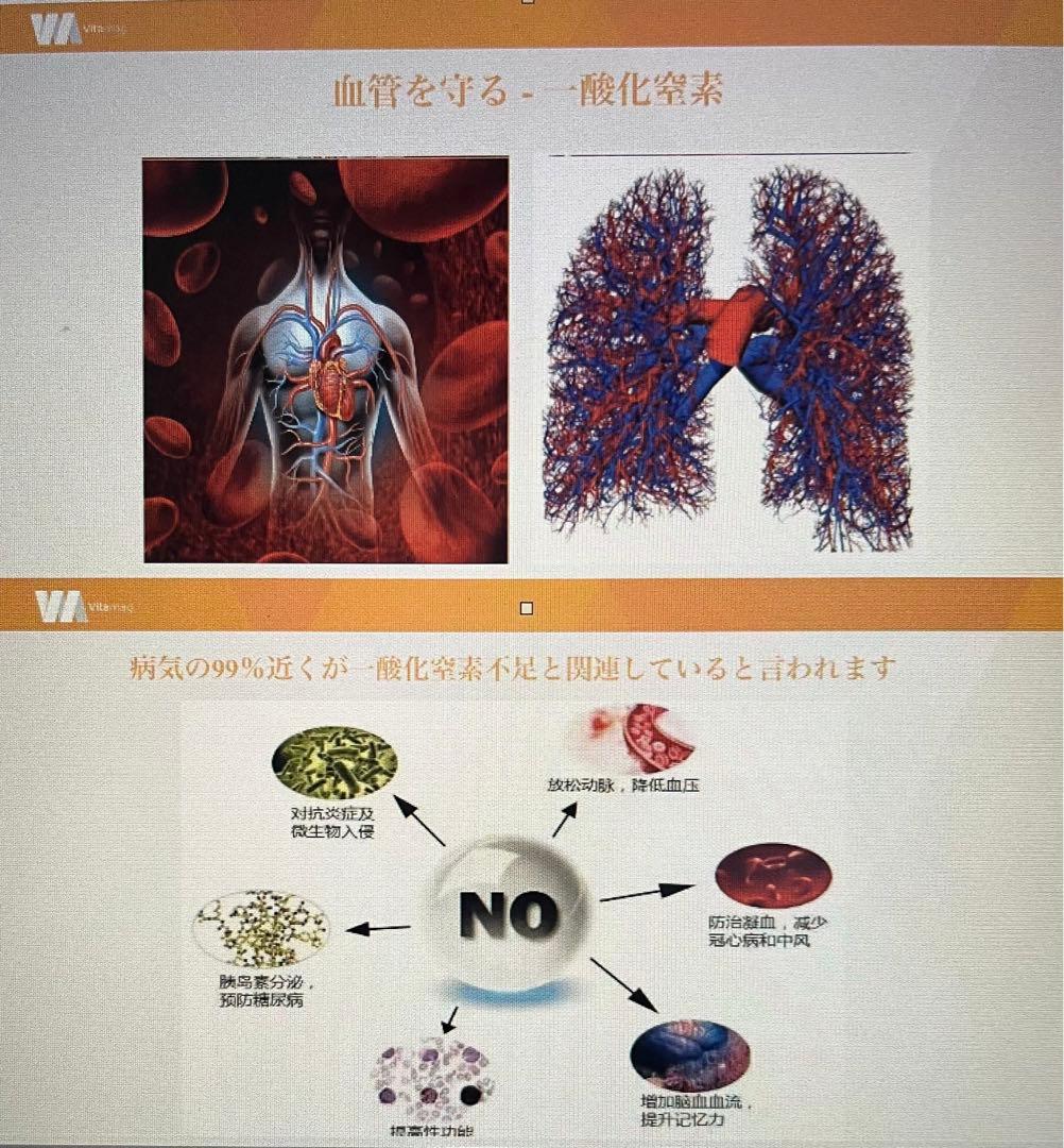 Viiva ポータブル　マットレス