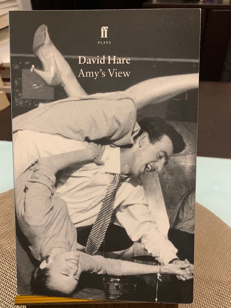 希少　David Hare Amy's View