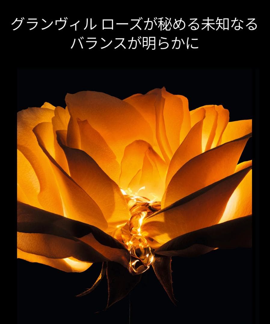 プレステージ 最高傑作 ルボームドミニュイ & ユイルネクターアンテグラール