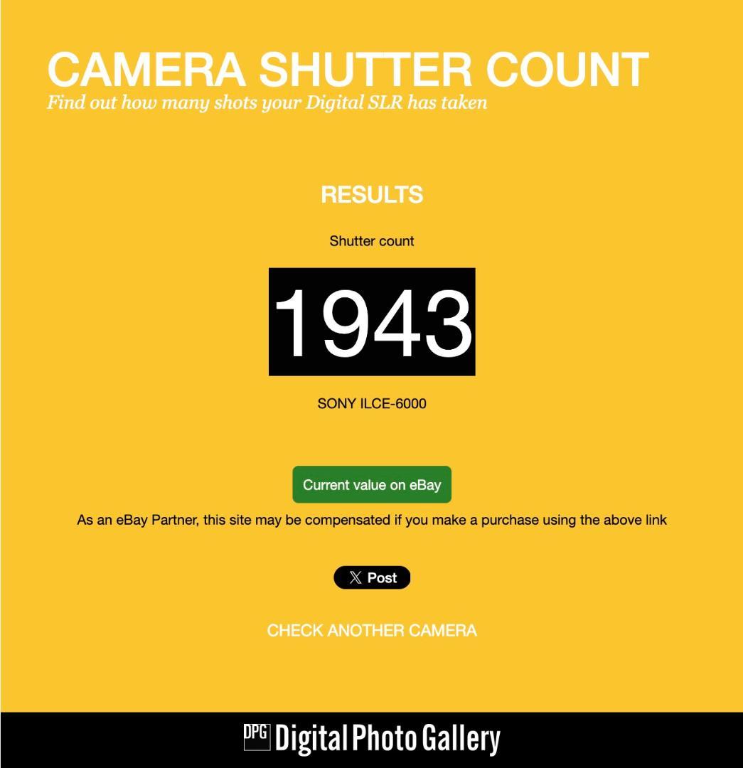 [美品] 極少ショット SONYα6000 ILCE-6000Y ダブルズーム