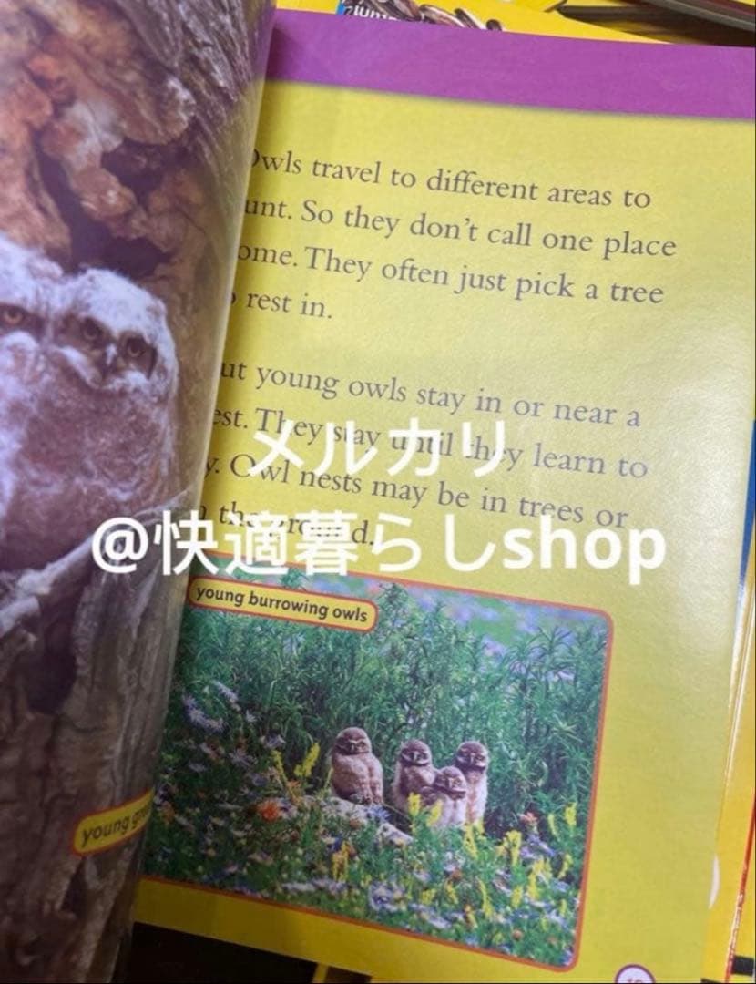 National Geographic Kids 絵本155冊　マイヤペン対応