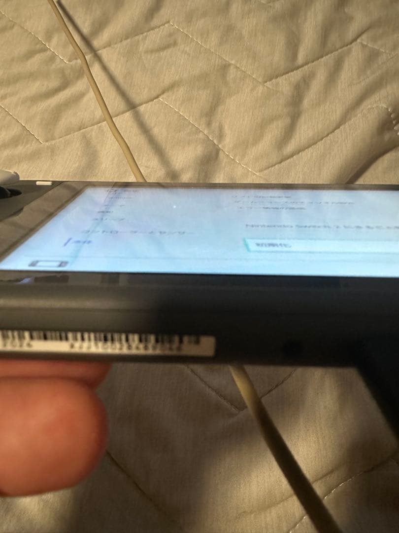 Nintendo Switch Lite スウィッチライト グレー 楽一番