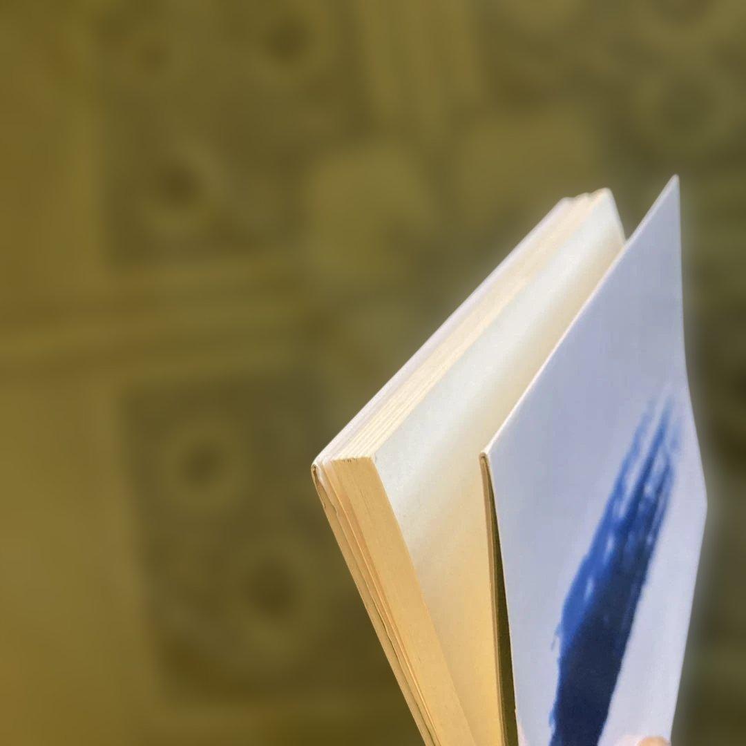 絶版希少本　藍 医色同源　岩城完三、栗本雅司　2001年　薬用植物としての藍