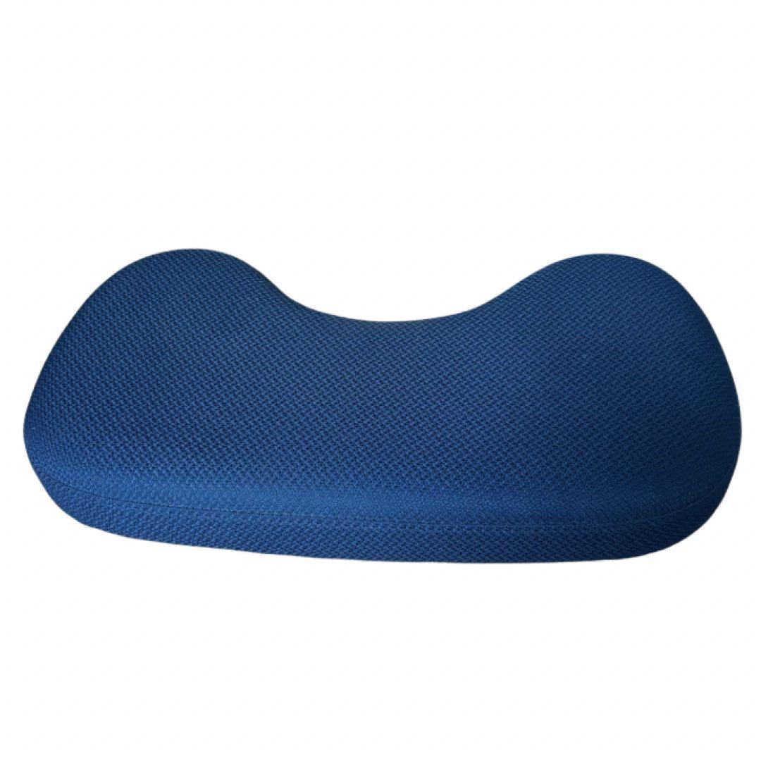 サカモトハウス　バランスラボ バランスチェア イージー 姿勢矯正イス ネイビー