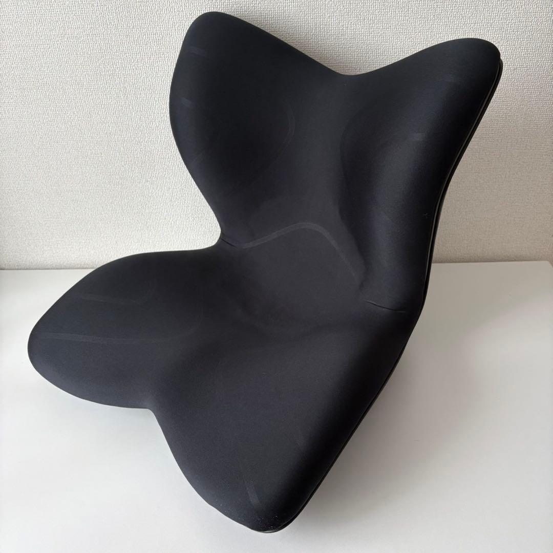 専用　MTG Style Premium スタイルプレミアム　骨盤サポートチェア