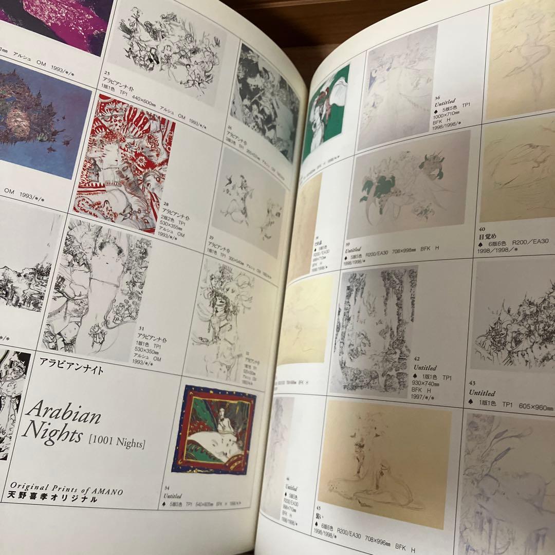 天野喜孝作品集　画集　図録　洋書
