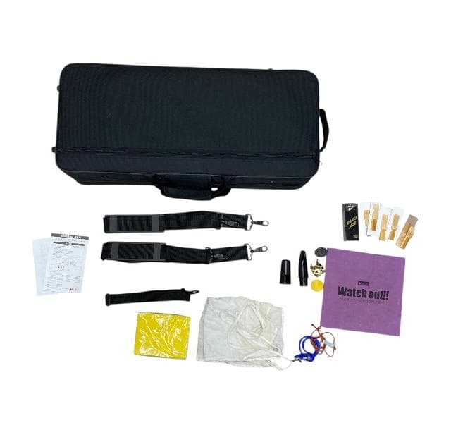 MAVIS サックス JYAS-E100 アルトサックス ゴールド メイビス