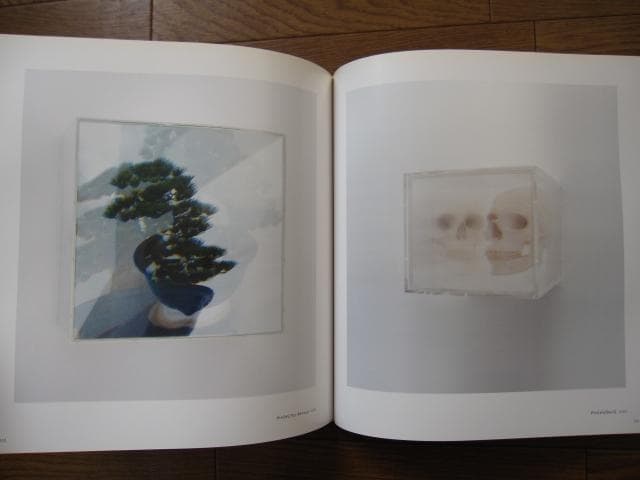 SYNTHESIS　シンセシス　名和晃平　Kohei Nawa