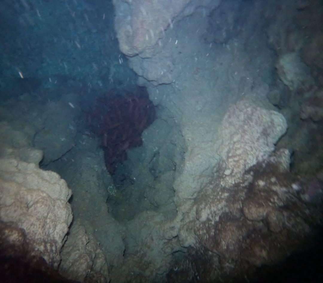 交渉の書籍　私の手の外科 改訂第4版