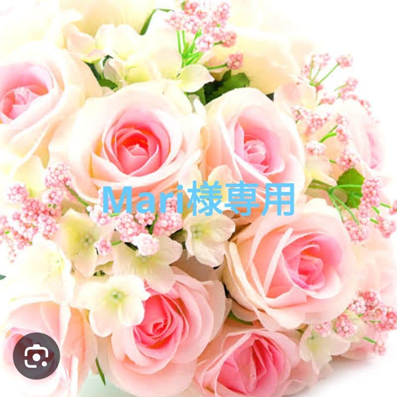 専用　リポソーム アドバンスト リペアクリーム　サンプル　10包