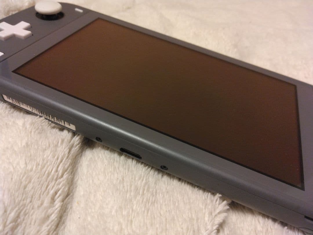 スイッチライトグレー2019年モデル