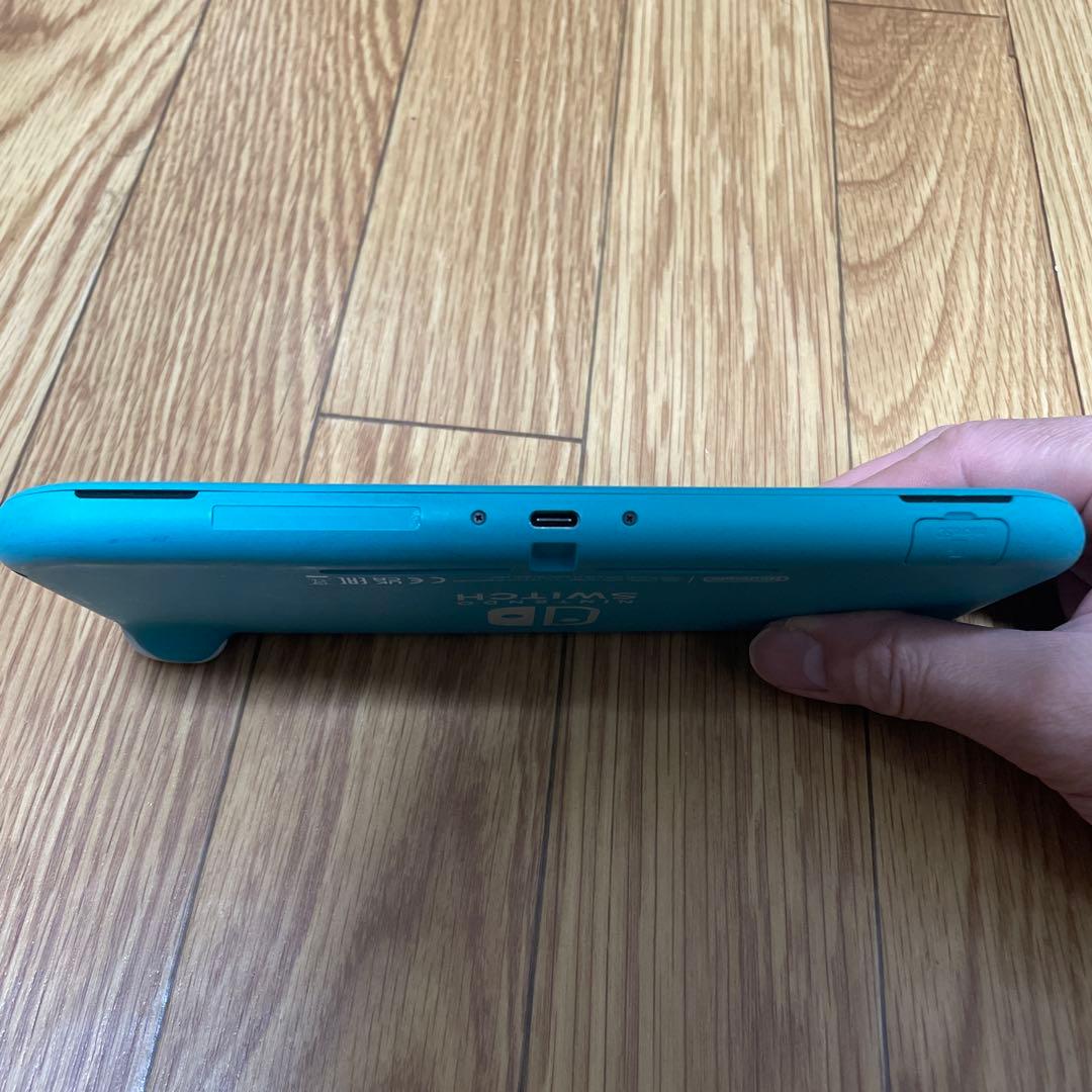 ジャンク　本体のみ動作確認済みNintendo Switch Lite