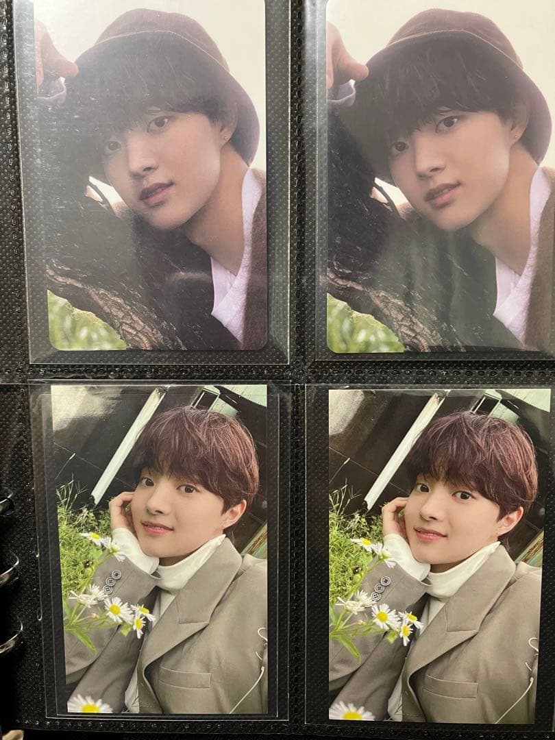 &team ウィジュ トレカ