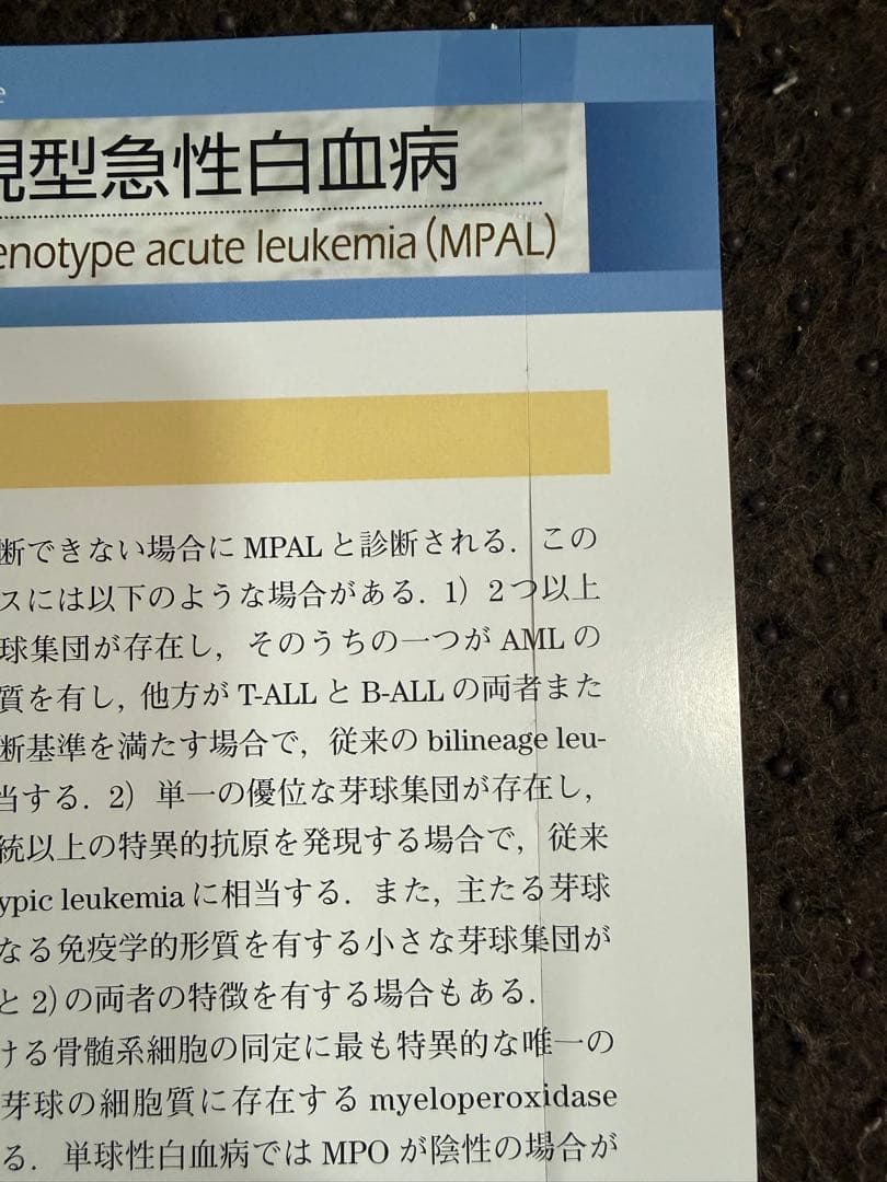 【裁断済】骨髄疾患診断アトラス 血球形態と骨髄病理 第2版