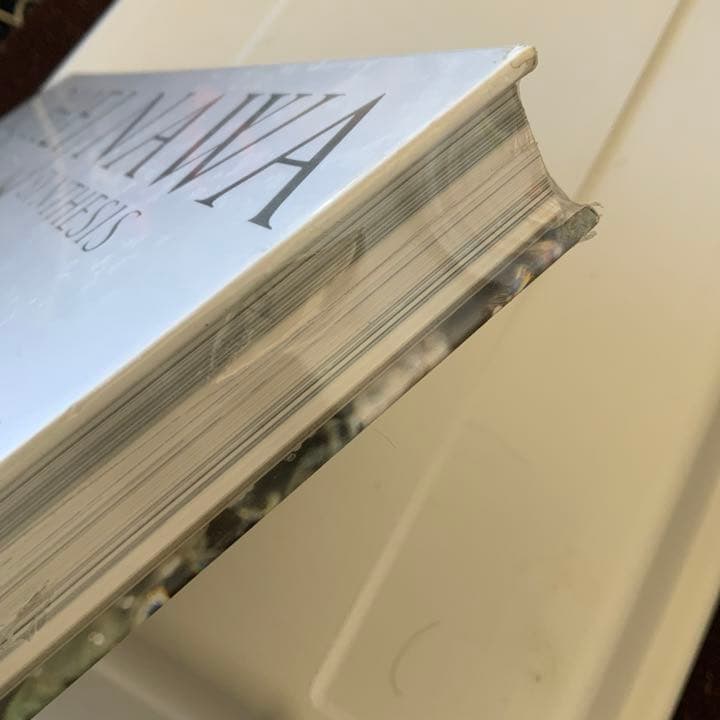 名和晃平　シンセシス　SYNTHESIS作品集　限定シート入り