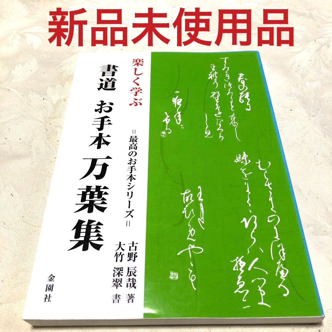 楽しく学ぶ 書道 お手本万葉集